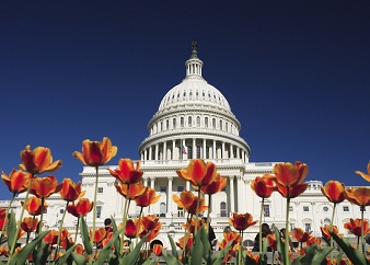 Nixon, Humphrey and McGovern: Environmental Issues in Politics
